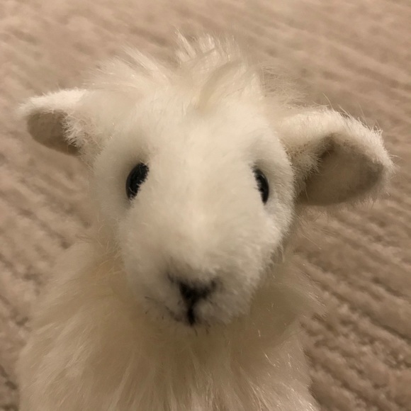 Kosen Other - Kosen Lamb